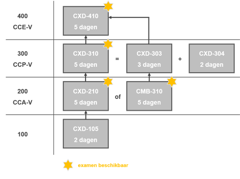 Citrix Virtualisatie leerpaden schematisch weergegeven