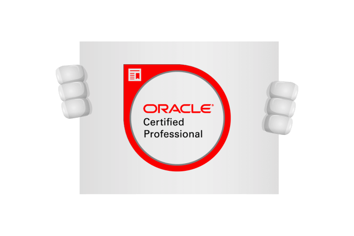 Buddy onze macotte heeft een bord met het Java Oracle Certified Professional (OCP) vast
